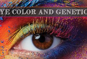Eye Color & Genetics